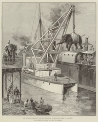 La spedizione Looshai, imbarco degli elefanti a bordo del Simla a Calcutta