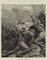 La guerra nel Transvaal