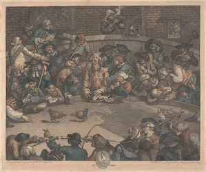 Il combattimento di galli