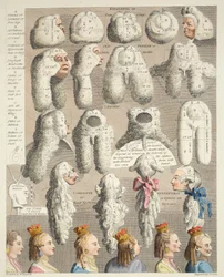 I cinque ordini di parrucche, illustrazione da 