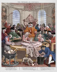 La ricompensa della crudeltà, una lezione di anatomia nel 1750 di Hogarth (incisione)