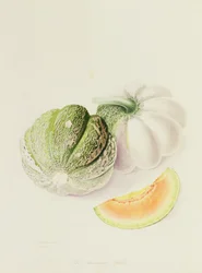 Il melone Romana, 1818
