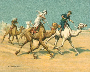 Gare Storiche e Moderne, Gare di Cammelli (cromolitografia)