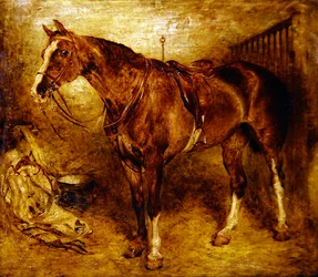 Un cavallo nella stalla