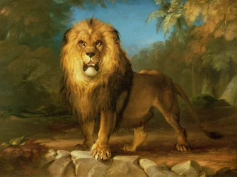 Un leone, 1840