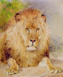 Leone