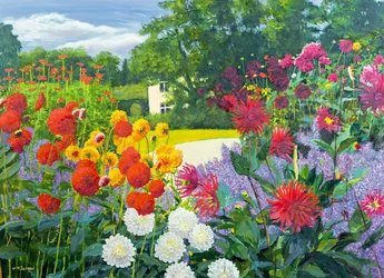 Giardino e casa