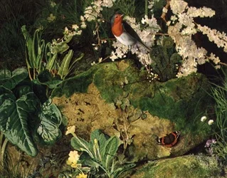 Inizio primavera
