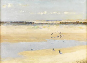 Pavoncelle sul mare