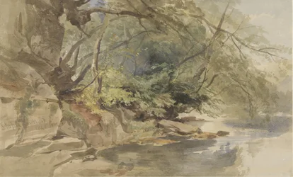 Veduta di Stapleton Wood, vicino a Bristol