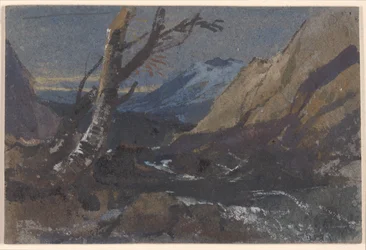 Studio di alberi presso un torrente di montagna