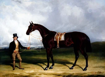 Bay Middleton, vincitore del Derby