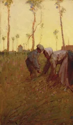 Tempo di fieno