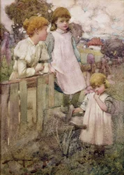 Sorelle