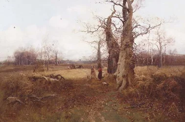 Paesaggio autunnale