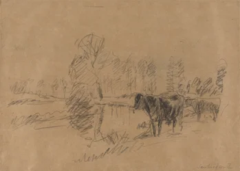 Bovini in un paesaggio