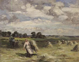 Raccolta vicino a Salroun, East Lothian