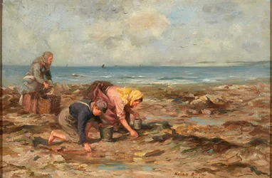 Raccoglitori di cozze