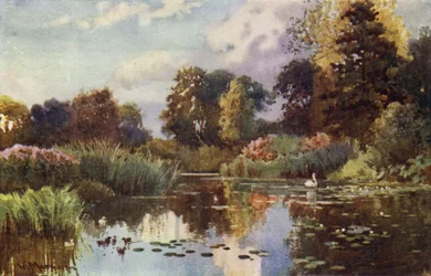 Il lago nei giardini botanici