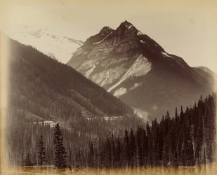 Ross Peak e il Loop dalla capanna della neve n. 19