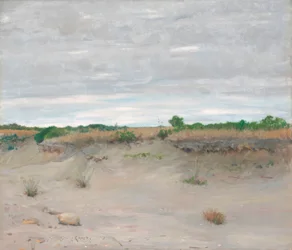 Spiaggia sabbiosa ventosa