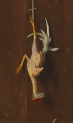 Spennato