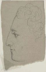 Schizzo del profilo