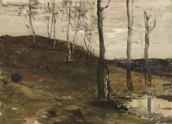 Collina con Alberi