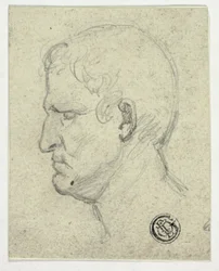 Testa dell