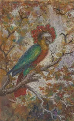 Pappagallo, 1909