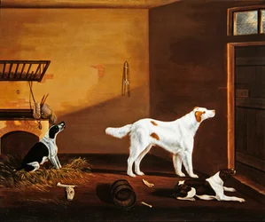 Tre cani in una stalla