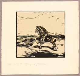 Il cavallo Shire