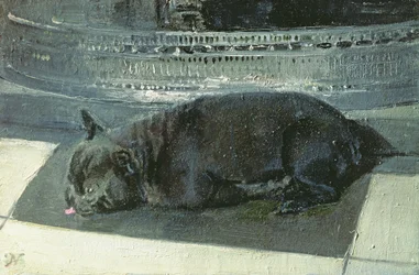 Napoleone