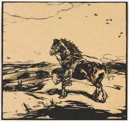 Il Cavallo da Tiro
