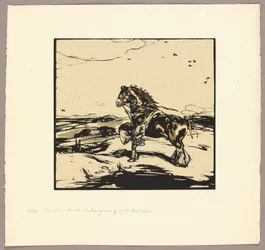Il cavallo di Shire