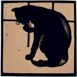 Il Gatto Non Comune, da 