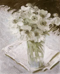 Anemoni bianchi