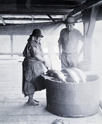 Pulitore di salmoni indiano, vicino a New Westminster, Columbia Britannica (Provincia del Canada)