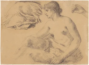 Studio di Nudo