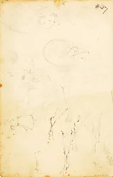 (Studi - figure, tronco, cavallo e cavaliere, ecc.)