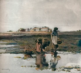 Raccolta di cozze, c1908