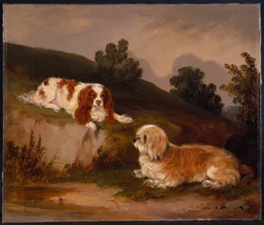 Paesaggio con spaniel e terrier
