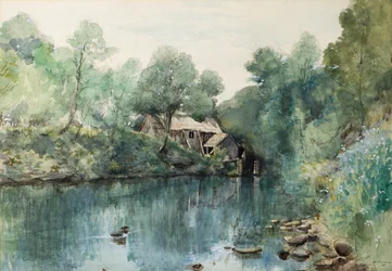 Segheria, Speediehill