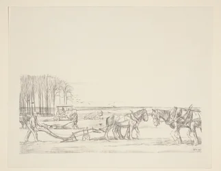 Aratura del campo