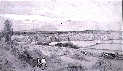 Scena di Raccolto