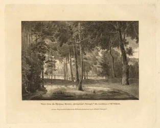 Le Sedi della Contea degli Stati Uniti d