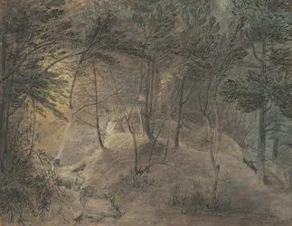 La vista dalla casa di sorgente a Echo, c.1808
