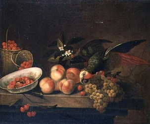 Immagine sconosciuta