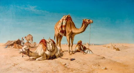 Una sosta nel deserto, 1867