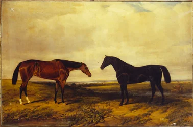La puledra baia brillante e lo stallone baio scuro del Conte di Granard, 1885